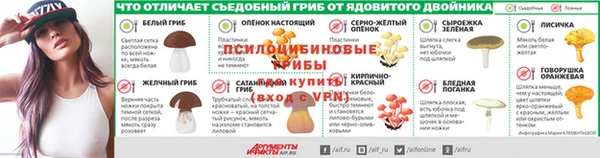 СК Бронницы