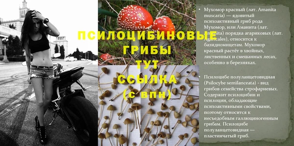 СК Бронницы