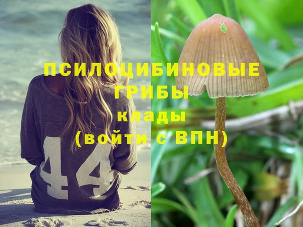 СК Бронницы