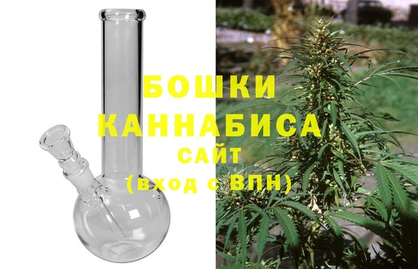 СК Бронницы