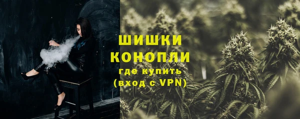 СК Бронницы