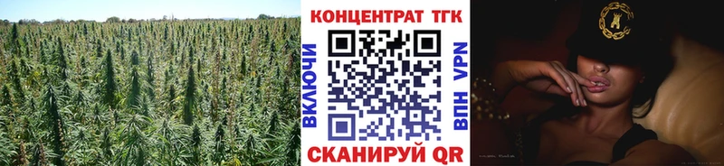 Купить где  Мглин  ТГК концентрат 