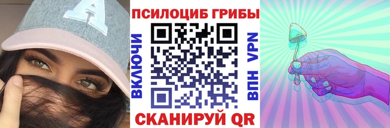 Галлюциногенные грибы GOLDEN TEACHER  Купить закладки  Мглин 